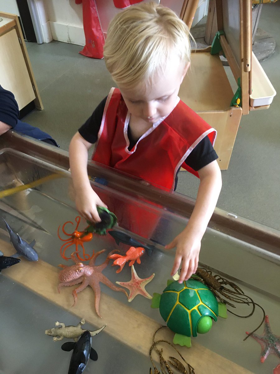 Exploring in the water with the sea creatures #PlayLearnSucceed