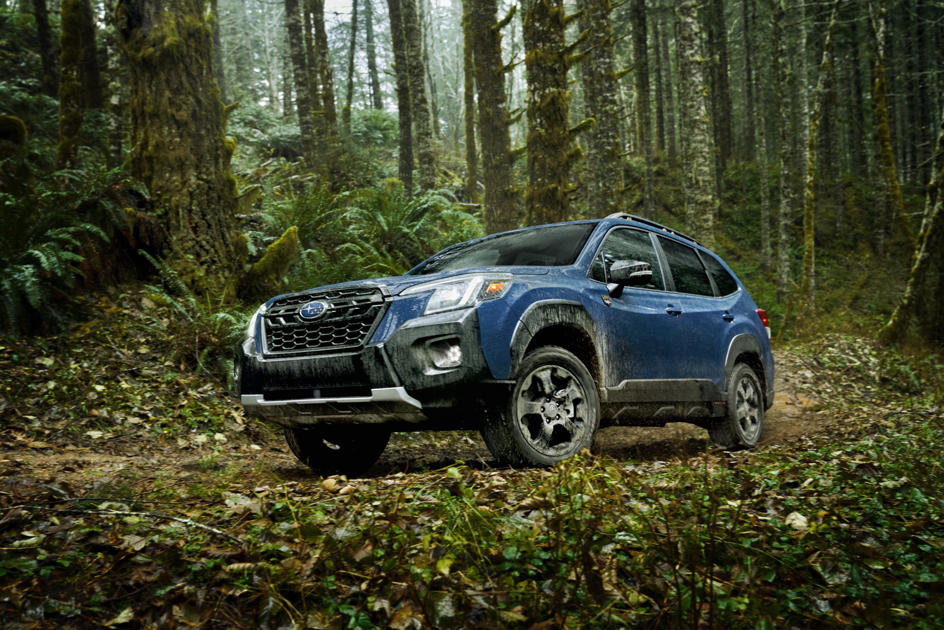 Subaru on Twitter "Discover the allnew 2022 Subaru Forester