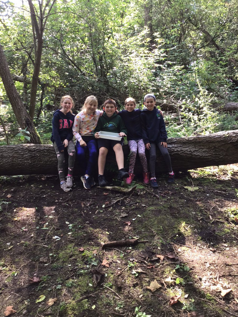 blackhallPS's tweet photo. P5B enjoyed a morning out with #earthcalling for their Wildlife Rangers outdoor learning session. https://t.co/eChHkBKpMn