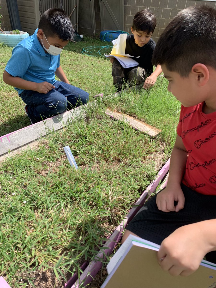 GalavizMrs's tweet photo. Science in action is the best way to learn ! My students were so excited to be able to get to real science investigations. @CreeksideCubs #duallanguagelearners https://t.co/TEqLcul7aD