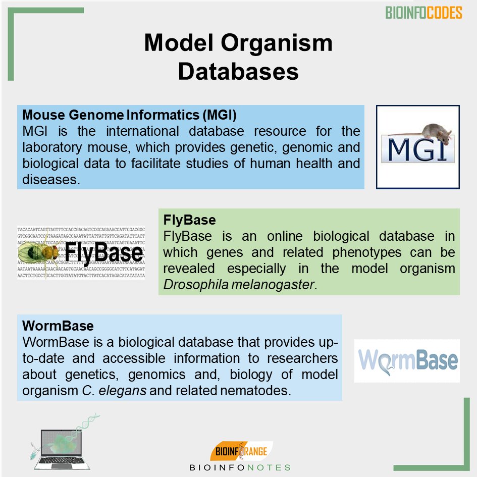 What Is Fly Base Genome Database Notes.pdf Our new #bioinfonotes about Model Organism Databases has been publised ...