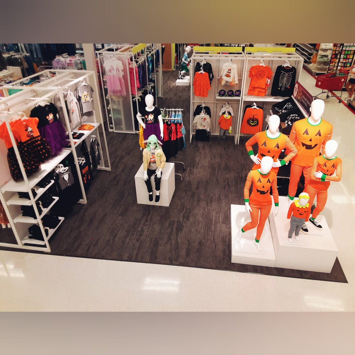 Chelsea Fuller tweet media