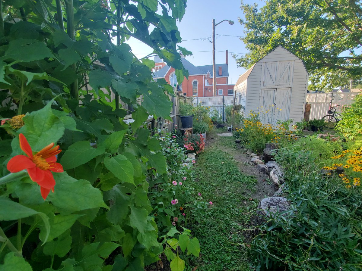 First Twitter post. Meteorological fall and the backyard garden yesterday  <a href="/CraigDunmore/">Peninsula Storm Chaser</a>