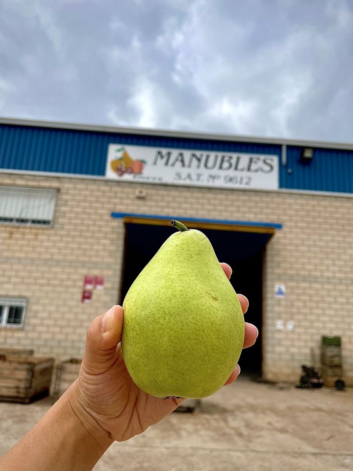 frutamanubles's tweet photo. 🍐 Hoy están en el #Manubles 🍐
🍐📆 Este sábado estarán en el Mercado de Parque Venecia. Ven a visitarnos y llévate la mejor pera de agua, ciruela anaspar y president y manzana reineta. 🍏 (Sí, ya hay manzana reineta. En el Valle Del Manubles, somos así 😉)
#FrutadelManubles https://t.co/M1MjTsMMHT