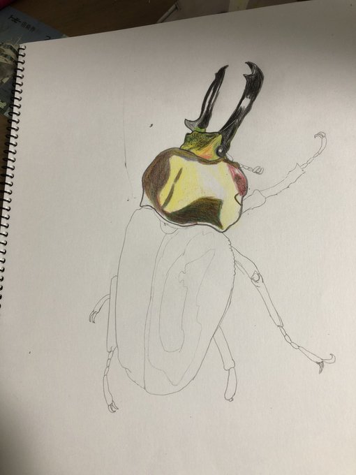 現場からは以上ですのtwitterイラスト検索結果 現場からは以上ですのtwitterイラスト検索結果