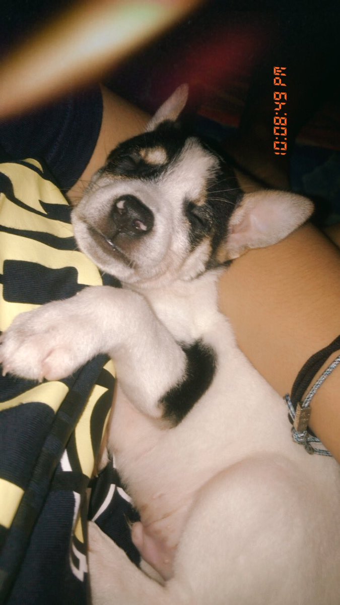 generosaaaa's tweet photo. mi babii https://t.co/d4p5F9COgO