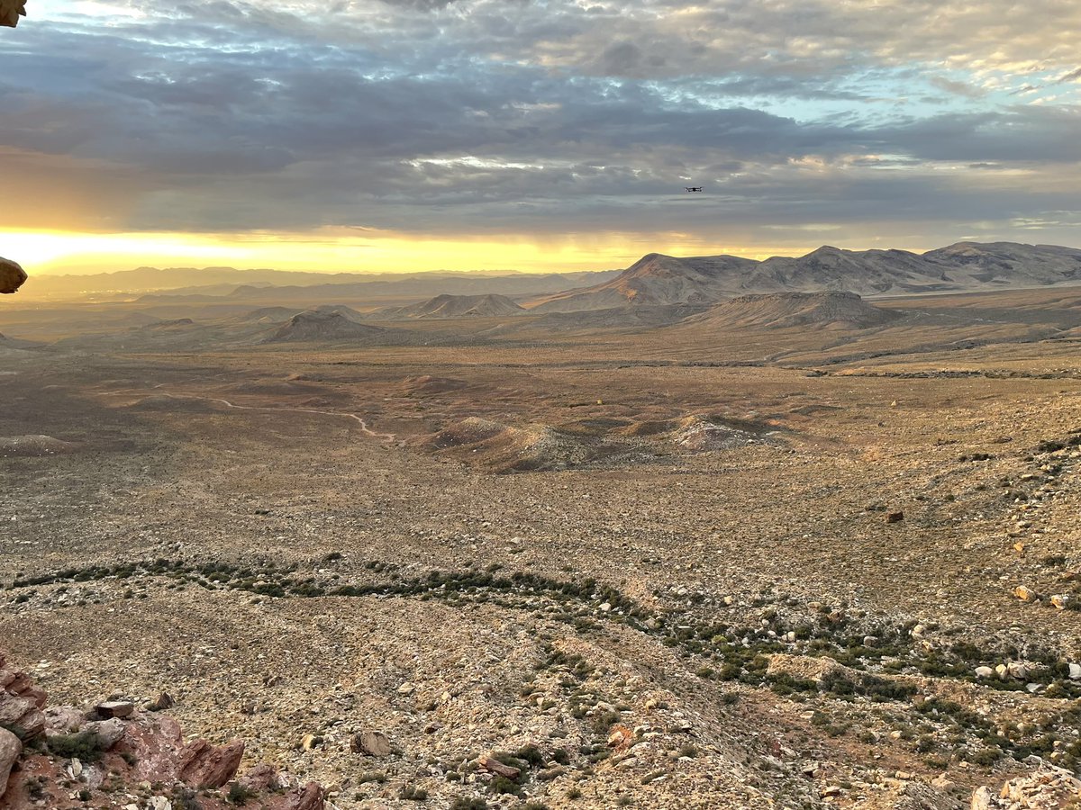 Alex Honnold tweet media