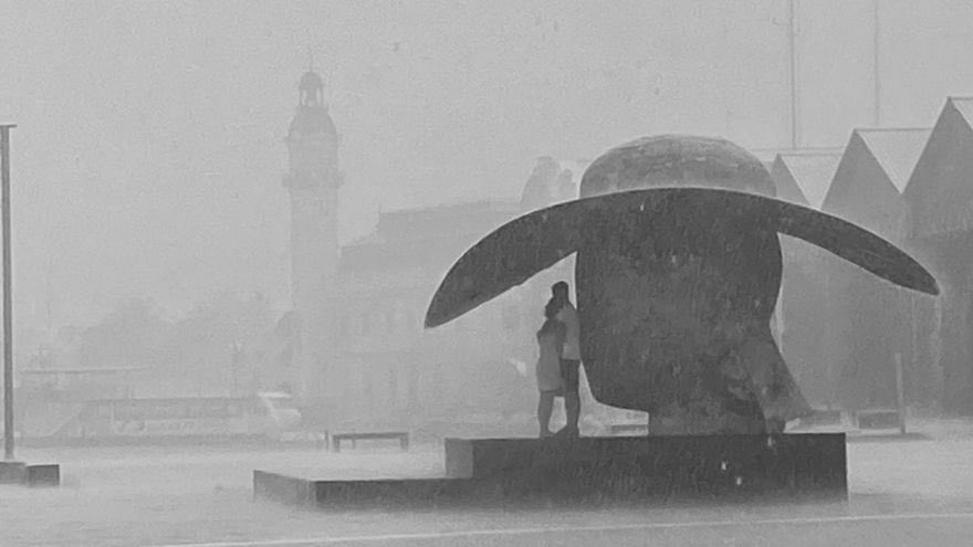 🔵 Quina història tan bonica. Es busca parella de la Pamela. Una fotografia, un lloc, un ús ciutadà.  La vida a La Marina. levante-emv.com/valencia/2021/…