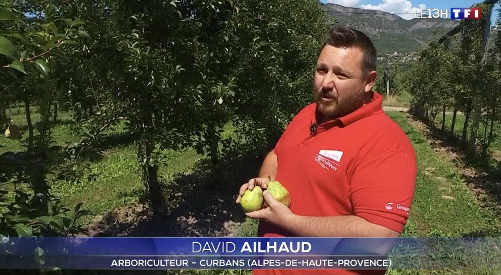 🎥 Retrouvez le replay de l’intervention de <a href="/babid_04/">Jean-David</a> dans le <a href="/TF1LeJT/">Natalia Kowalski</a> de #13h sur les épisodes de gel et leur impact sur la production arboricole👇
bit.ly/3yDM43c