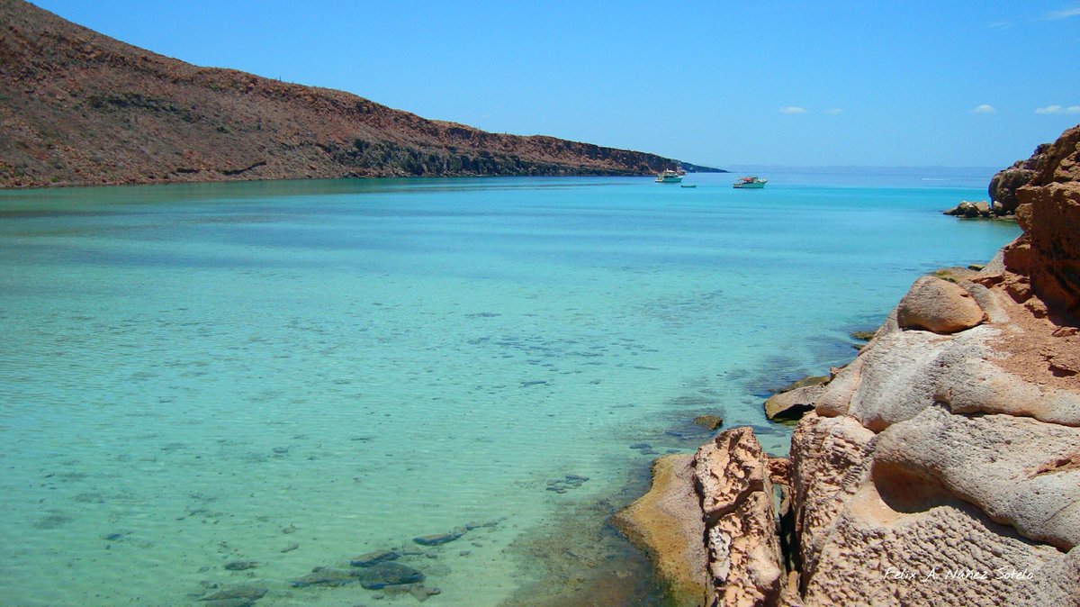 felixns_7's tweet photo. #FelizJueves desde isla #EspirituSanto lugar protegido por su biodiversidad.

¡Mira el video completo https://t.co/iecmSIpsF0 y suscríbete!

#FotoDelDía #PicOfTheDay #thursdayvibes #fotografía #VisitBCS https://t.co/2LuCbOEwSp
