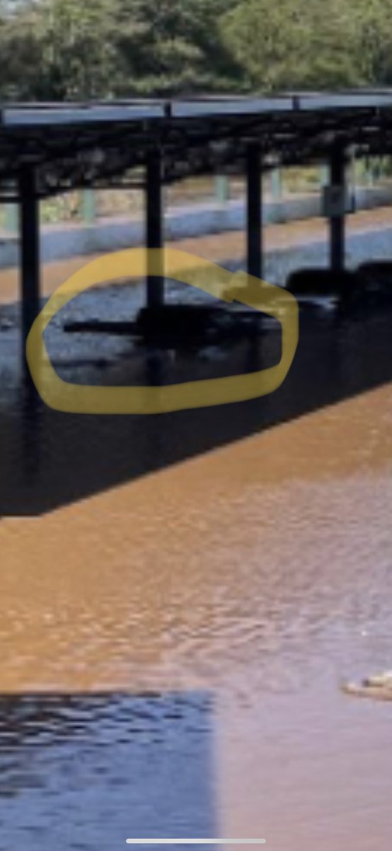 Nick Ernst tweet media