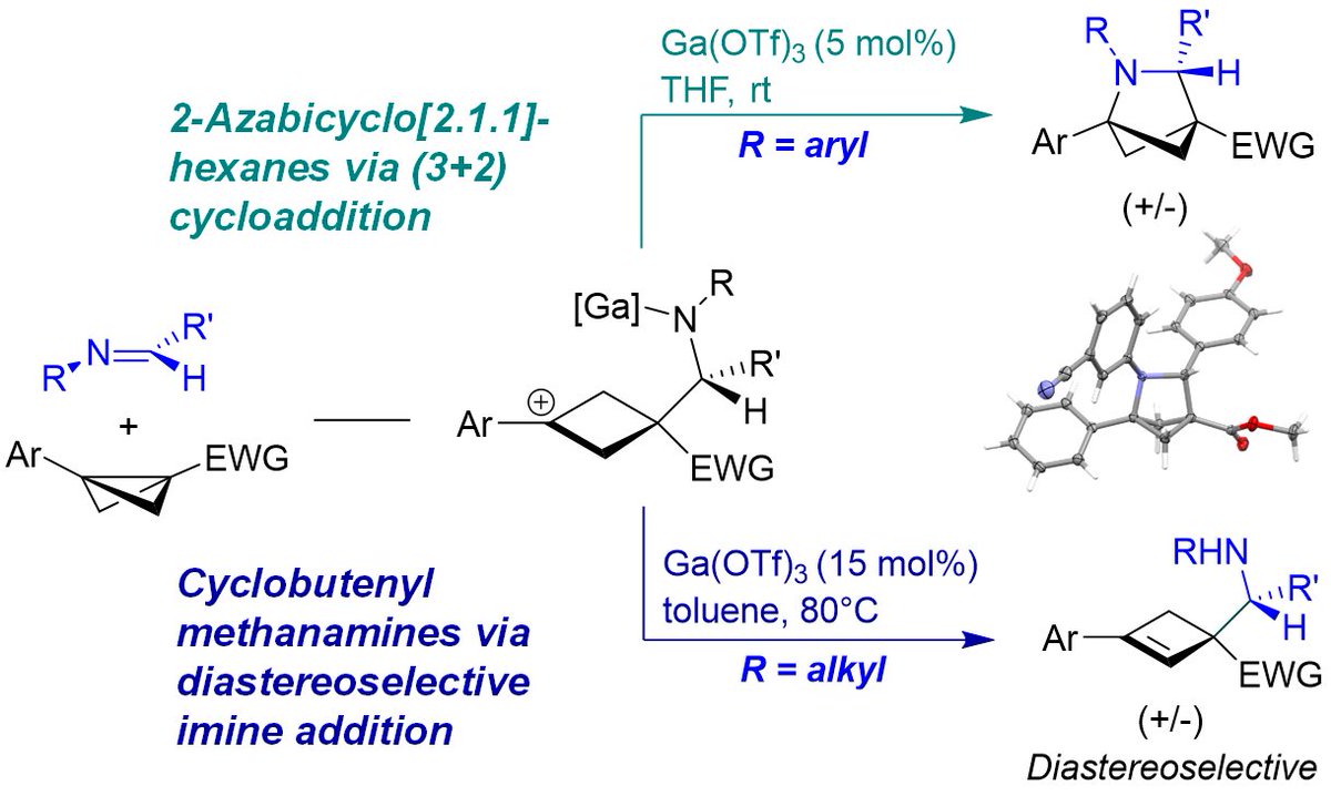 Another new #preprint from the Leitch lab: Kushal Dhake and Kyla Woelk have developed a divergent approach to azabicyclohexanes and cyclobutenyl amines from bicyclobutanes.  We're really excited to explore these scaffolds for applications in med chem!
chemrxiv.org/engage/chemrxi…