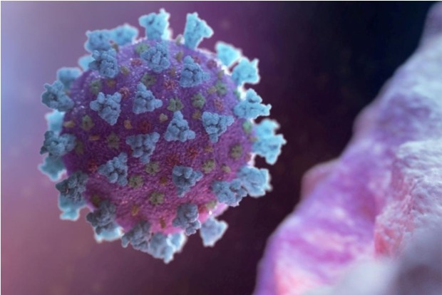 dt_next's tweet image. 300 cases of COVID-19 delta plus variant found in India.

Read more: dtnext.in/News/National/…

#DeltaPlusVariant #COVID19