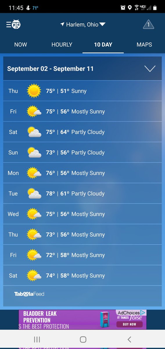 This forecast... 🥳😏😁