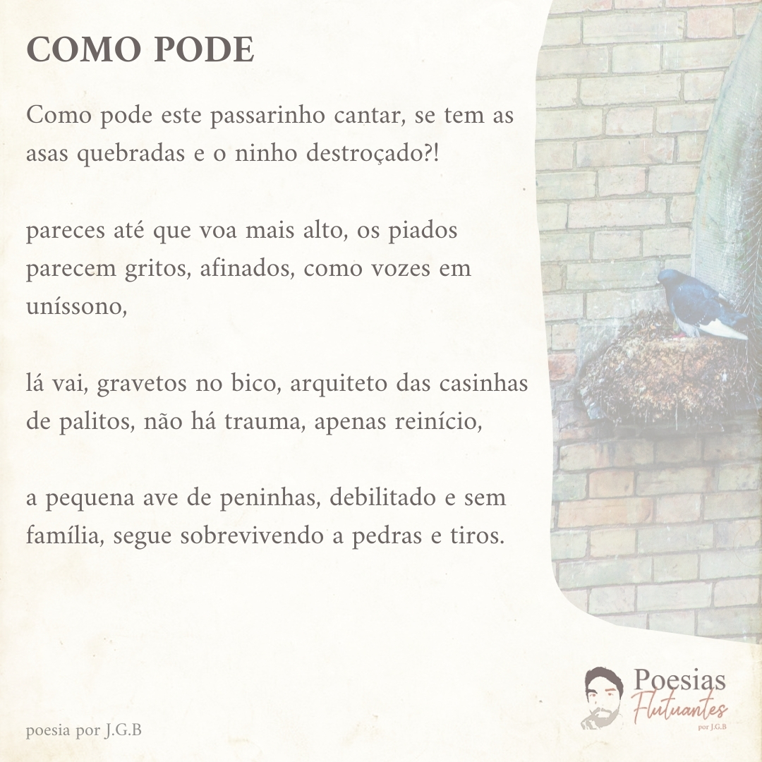 PoesiasFlutuam's tweet photo. COMO PODE
⠀
Como pode este passarinho cantar, se tem as asas quebradas e o ninho destroçado?!
poesia completa : https://t.co/PYFRa0jlNQ⠀
⠀
#comopode #passarinho #homem #mulher #poesiasflutuantes #jgb #poesias #poesia #poemas #poema #frases #frase #poeta #soneto https://t.co/jUQuna5Nhu