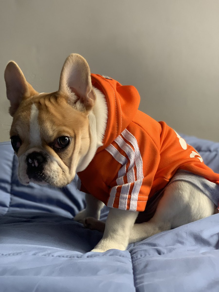 Lucas Ares tweet media