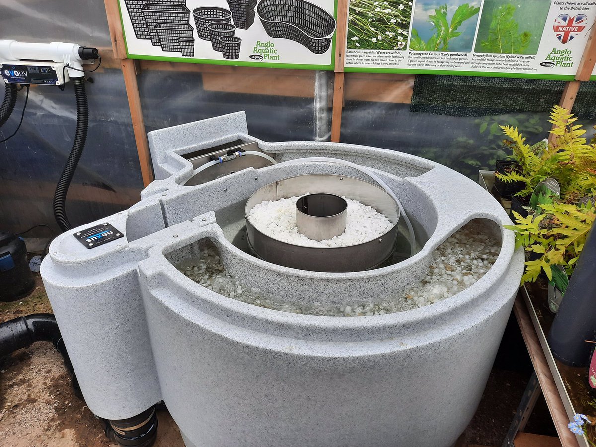 EvolutionAqua's tweet photo. Nexus 220+ now installed on the display ponds at Derbyshire Koi &amp; Aquatics, pop in-store to see it running for yourself and ask for a cleaning demo!

For more information on our products visit https://t.co/ANOEspjzzu

#EvolutionAqua #DerbyshireKoi #Nexus #PondFilter #Pond #Koi https://t.co/OpnTZaiGUH