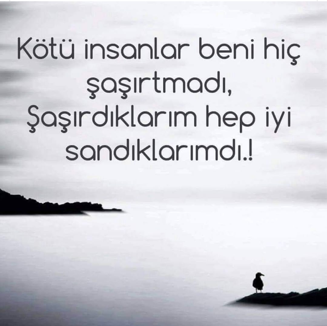 hakan dünya (@hakan_oteyuz) on Twitter photo 