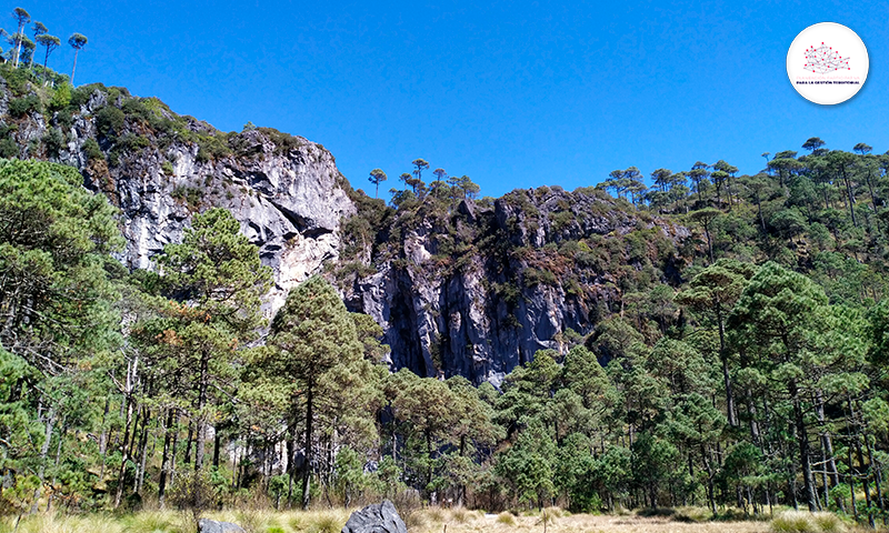 Iniciativas_Oax's tweet photo. La Cueva Cheve es uno de los sistemas de cuevas más grandes a nivel mundial; mejorar el acceso y la seguridad para el turismo son las acciones realizadas por la #IniciativaParaElDesarrollo, como área de oportunidad para el desarrollo del ecoturismo. @UEenMexico @COPLADE_GobOax https://t.co/v6SljgrAmh