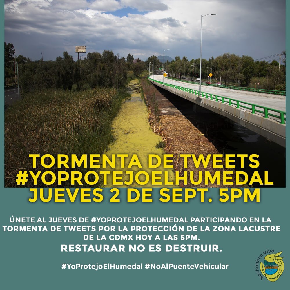 XochimilcoVivo's tweet photo. No solo es el camellón de periférico, es  fragmentar las vulnerables áreas naturales de la CDMX en nombre de un falso progreso. 

Hoy más que nunca platiquemos nuestras razones para decir  #YoprotejoElHumedal 
Ecocidio por Puente Vehicular Cuemanco #Xochimilco https://t.co/I6NMpuNDTi