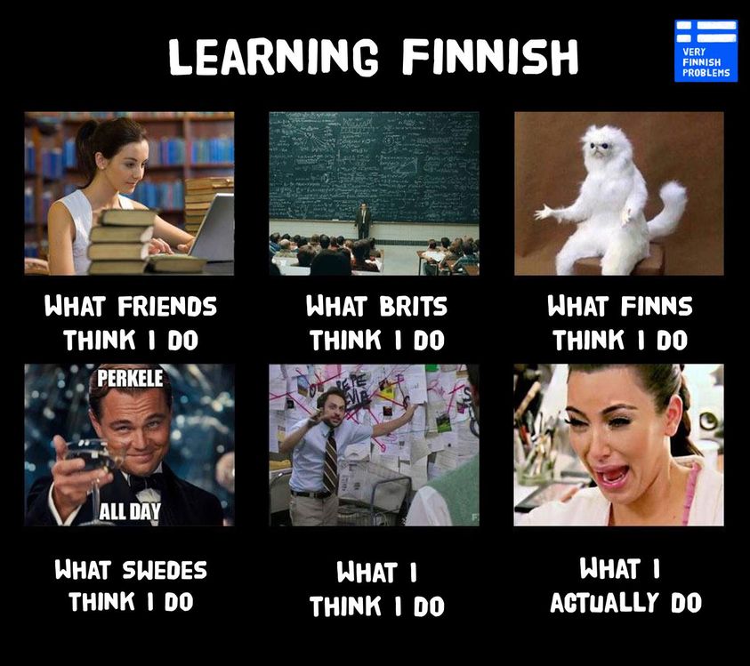 Al3xandrat's tweet image. Nope the Swedes are right, it's perkele all day🤣!!

#VeryFinnishProblems