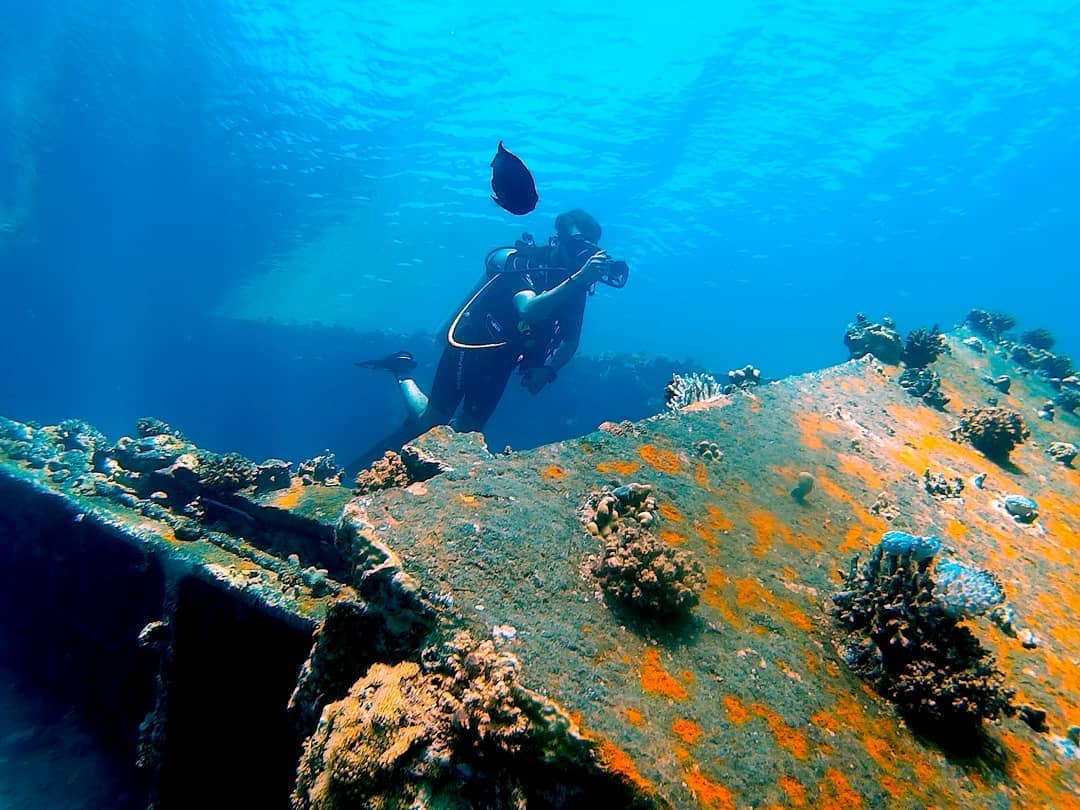 SJCAM_Official's tweet photo. Got any shipwreck diving shots? Share them with us here!
This one was taken by Ayman Zaki @xaakiii of Haql Saudi Arabia with an SJ6 Legend.
#SJCAM #Underwater #shipwreckdiving #divers #SJCAMLife #EmpowerYourDreams #Adventure https://t.co/gNGndBT0Ll