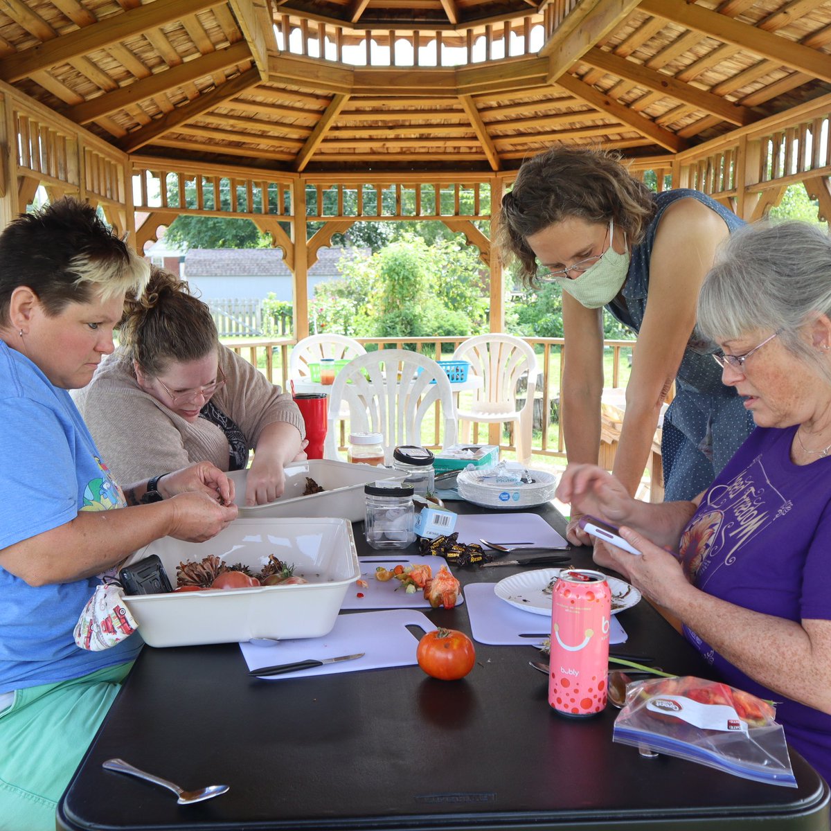 Springfield Community Gardens tweet media