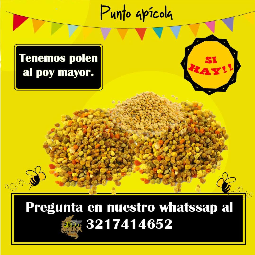 Punto apícola (@puntoapicola) on Twitter photo 