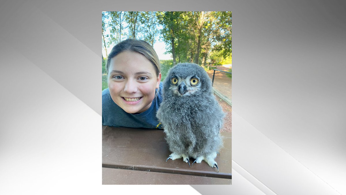 Birds of Prey Centre ready to fly for last weekend of the season <a href="/AbBirdsOfPrey/">AB Birds of Prey</a> #BirdsOfPrey #Coaldale #LNN lethbridgenewsnow.com/2021/09/02/bir…