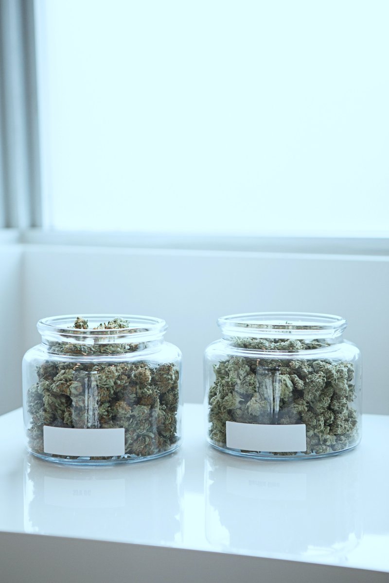 Flowsent Weed Delivery
4140 Redwood Highway Rd, San Rafael, CA 94903
(510) 545-4633

x.com/i/events/14334…