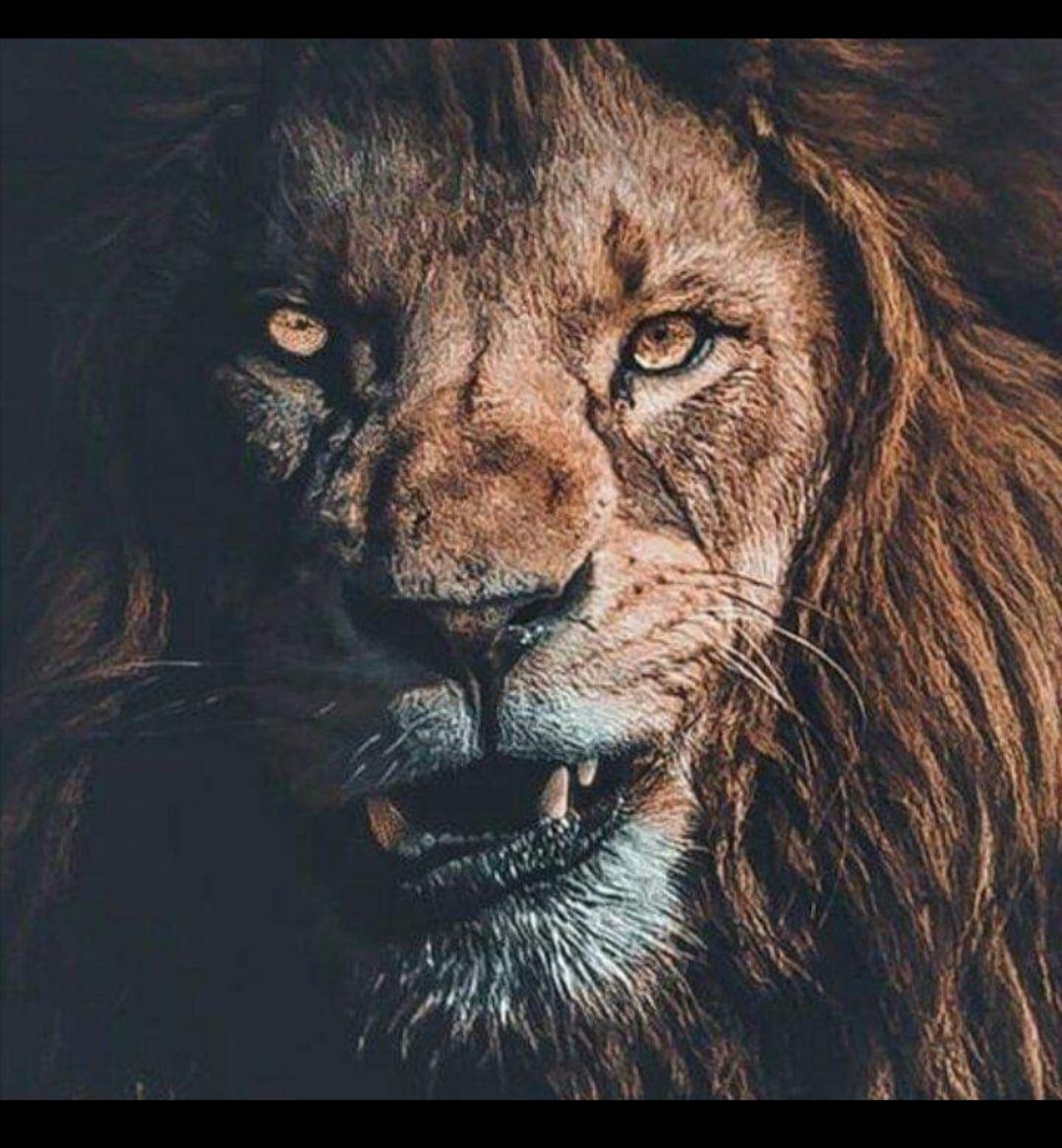 Ivert (@ivertgonzalez) on Twitter photo 