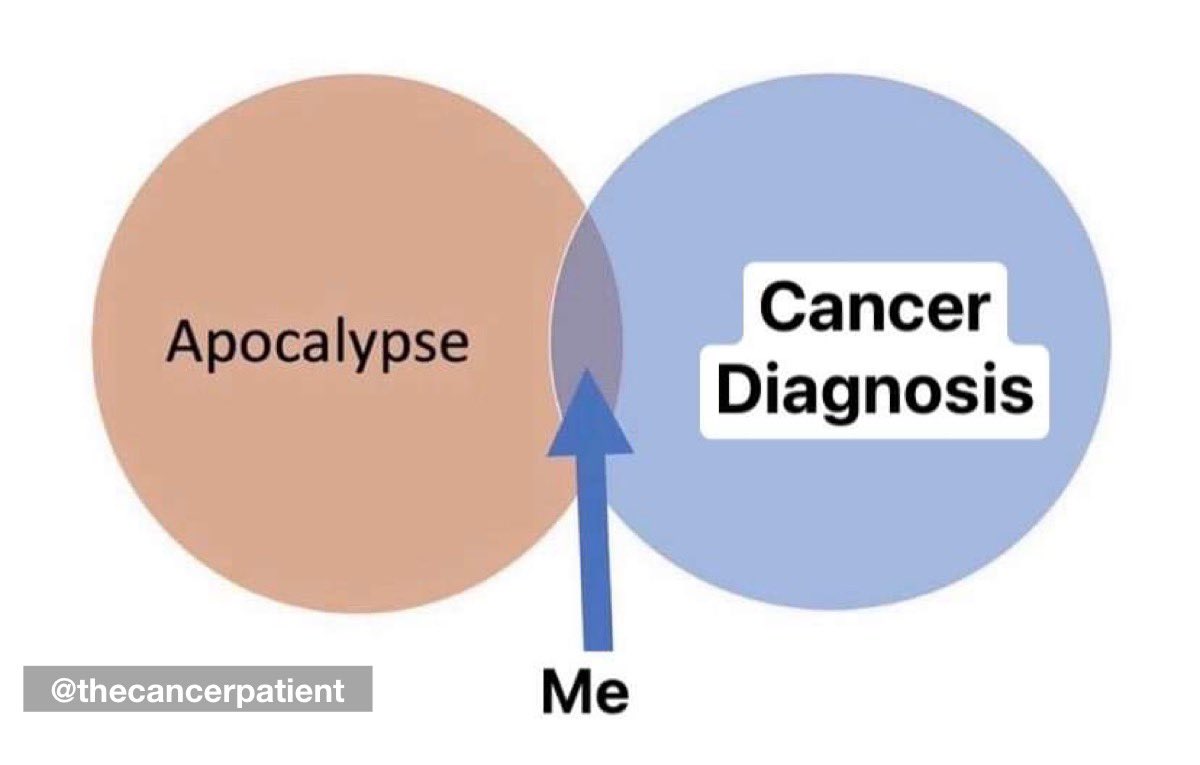 The Cancer Patient tweet media