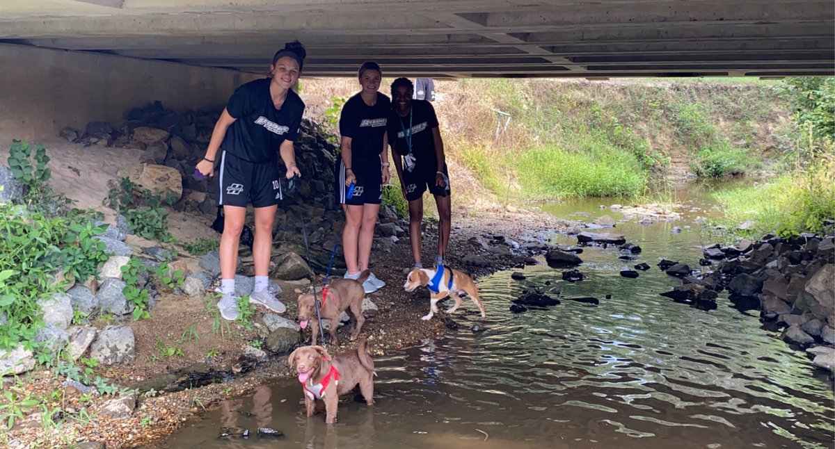 ReddiesWBB's tweet photo. We love donating goods and our time to help the local humane society! 🐶 https://t.co/lBe9n1AWfU