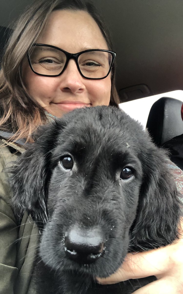 Kaisa Kivipelto tweet media