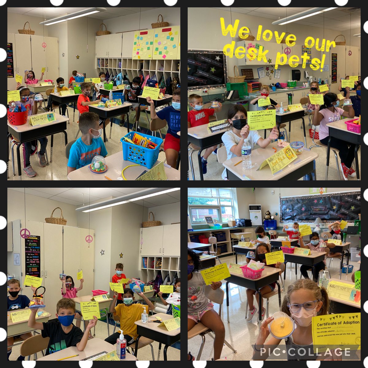 GiulianaClass's tweet photo. We can’t have our real pets with us to help us in school, but we can have desk pets! They watch us read and learn! ⁦@LMTSD_PRES⁩ https://t.co/azs31BQsmH