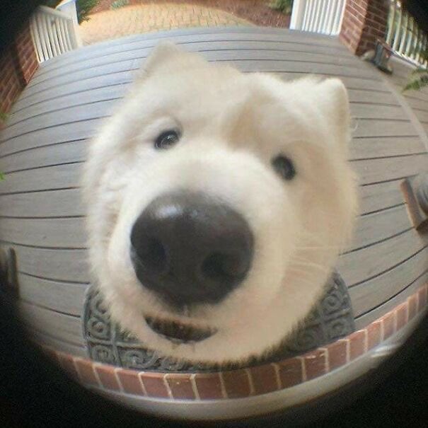 เปิดประตูให้หนูโหน่ยยยยย