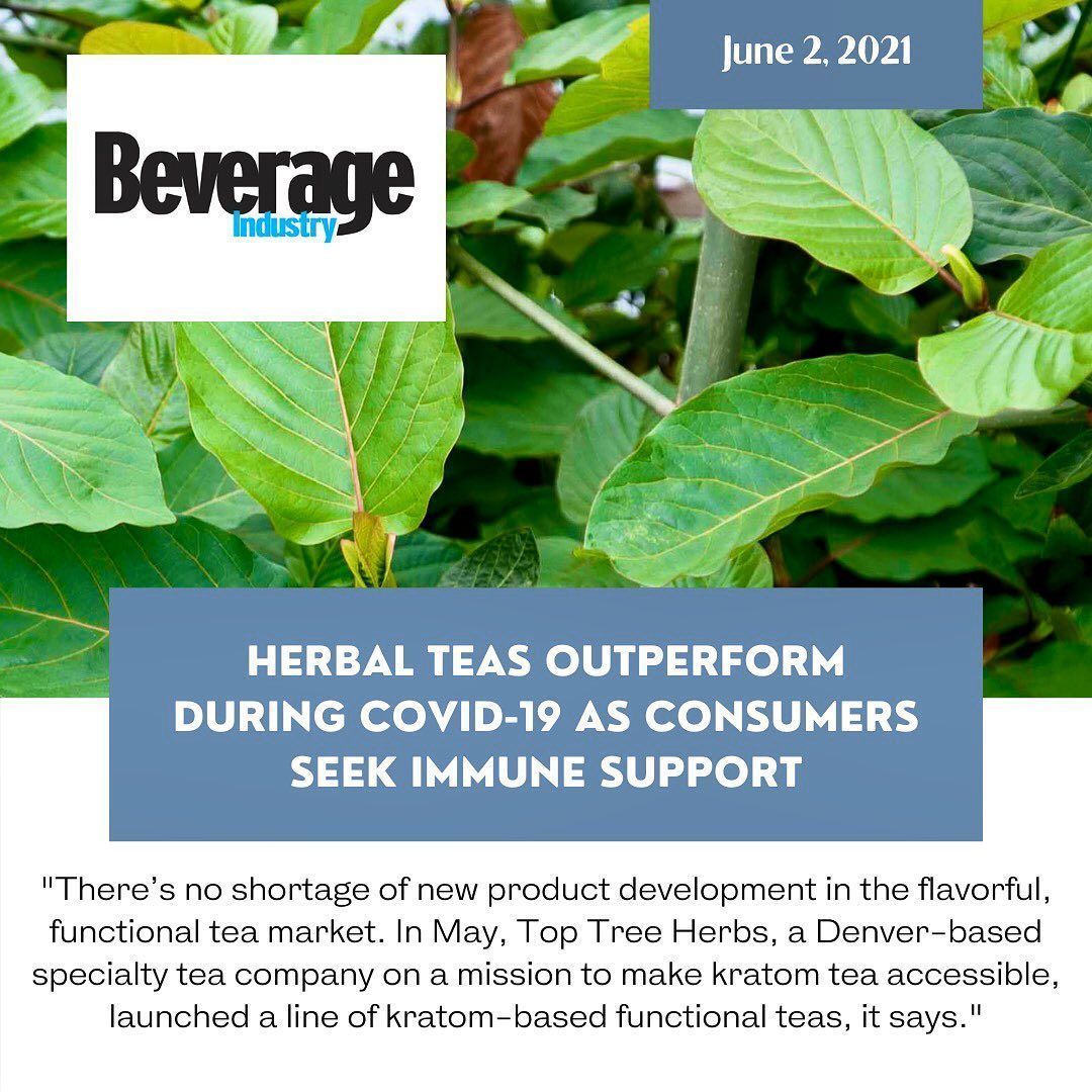 toptreetea's tweet image. #Repost - huge thanks to Beverage Industry Magazine for spotlighting our newest line of kratom-based functional teas! Seeing kratom represented alongside so many great beverage #brands is a wonderful departure from the status quo #functionaltea  buff.ly/3BxkSoi