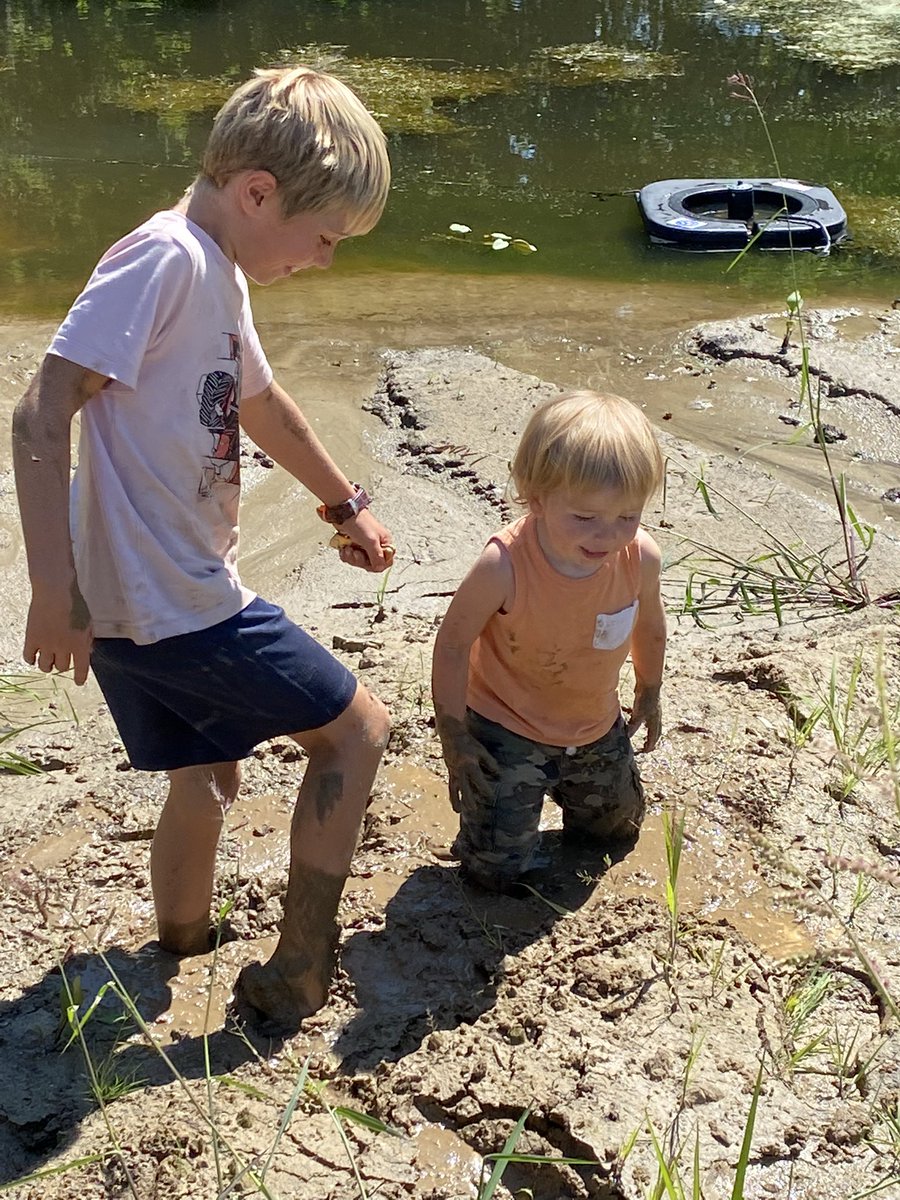 Nigel_Rennie's tweet photo. I’m getting some quality help with this afternoons fountain install and pond treatment. #cleanerwater in these kids future #swimhole #residental #golf @Allturf_Ltd @Arbourdalesales https://t.co/fQcgXvzAr5