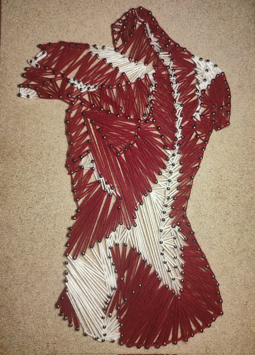 Human back muscles 
Wood size 30 × 45 cm 
Number of nails ~ 350
#philographic_Arts
#art #string_arts
