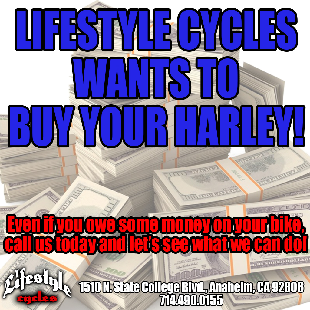 Lifestylecycles Lifestylecycles ØªÙÛÛØªØ±