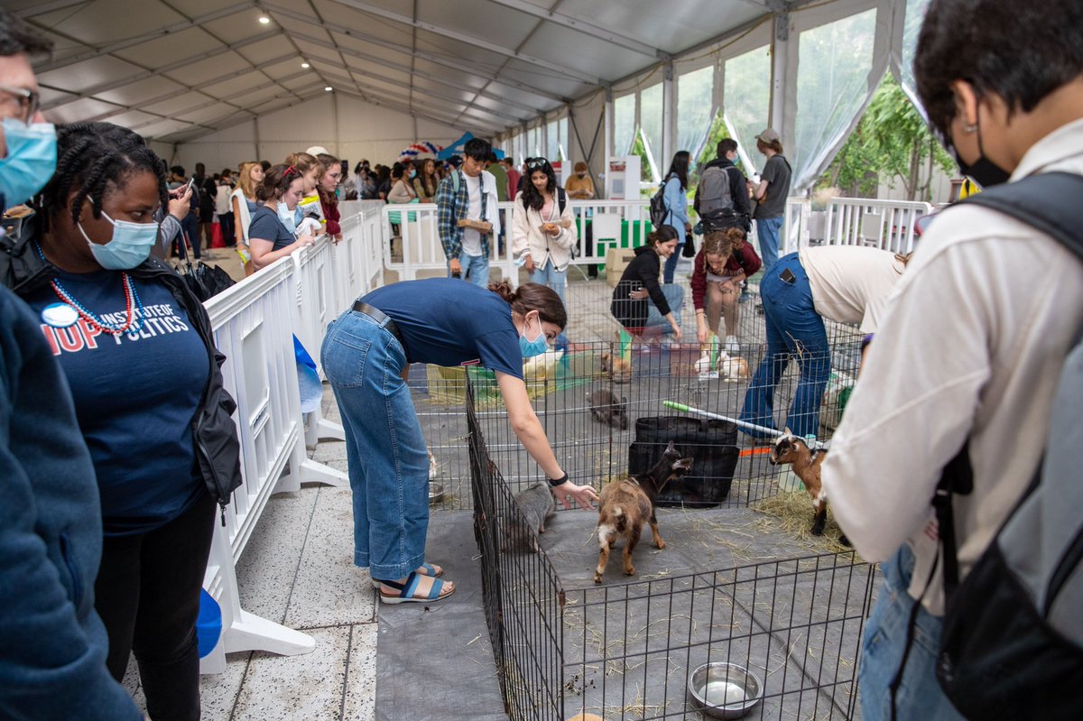 Yesterday the Institute of Politics <a href="/Kennedy_School/">Harvard Kennedy School</a> welcomed students back with live music, food and a petting zoo on the Science Center Plaza! Aren’t they cute? 

For updates on events like these check out the link in our bio! #MySCC