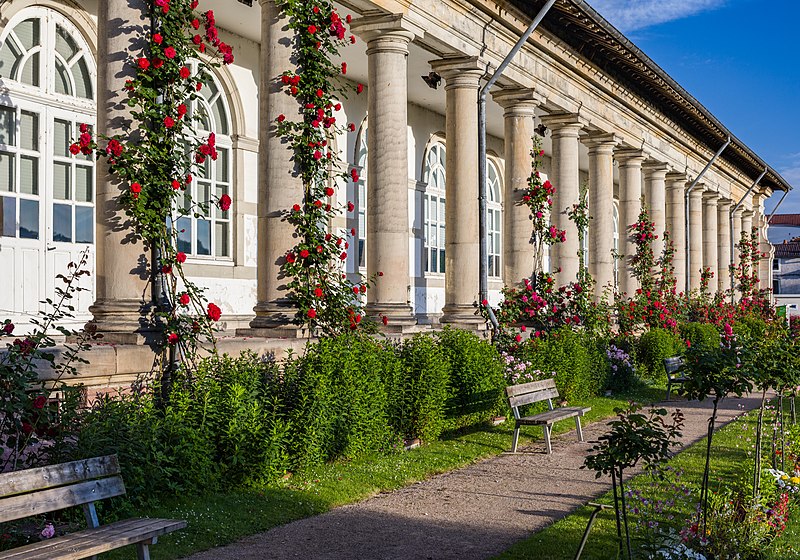 WLM_Fr's tweet photo. L'image du jour du concours photo #WikiLovesMonuments France 2021 est celle de la maison romaine d’Épinal !
📷par Clément293 sous licence @creativecommons CC BY-SA.
Plus d'informations → https://t.co/MrK3Ds60uX #Wikipédia https://t.co/x95Pnq1Y5m