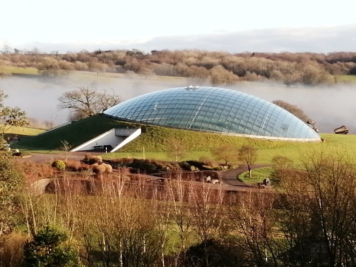 tycanolpaul's tweet photo. @swansci4 @walesbotanic @WalesBotanicEdu welcome #milli and #vanilli the #roaches and the #sticks to @walesbotanic 
Thanks @swansci4 &amp; @maryhgagen https://t.co/oS4wlmo816