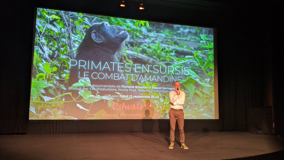 Avant-Premiere de PRIMATES en SURSIS le combat d'AMANDINE bientôt sur <a href="/Ushuaia_TV/">Ushuaïa TV</a>
#biodiversite