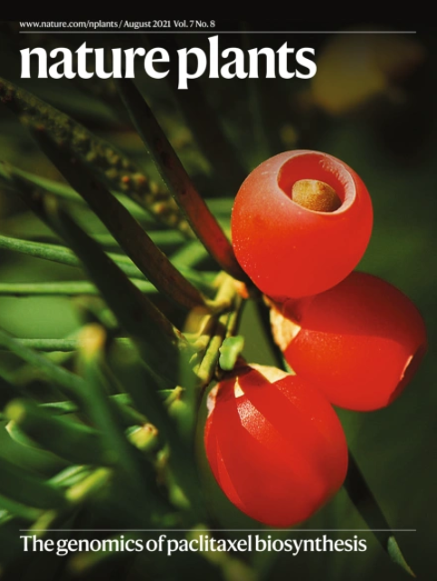 NaturePlants's tweet photo. A bit late, here is the cover for our August issue.

Full content available at https://t.co/LG4saB5izV https://t.co/6M1wRRXQgb