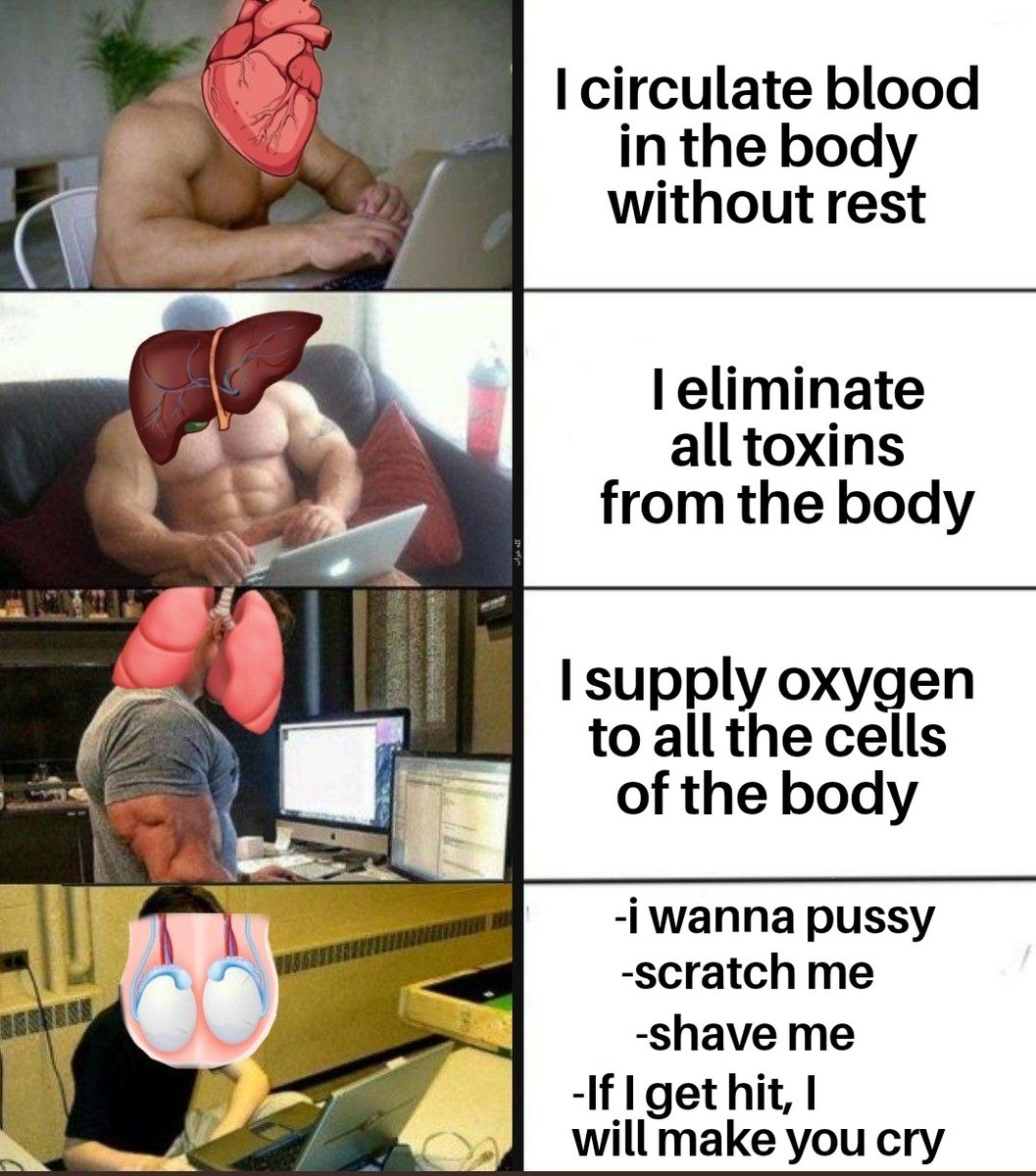 and of course brain. 