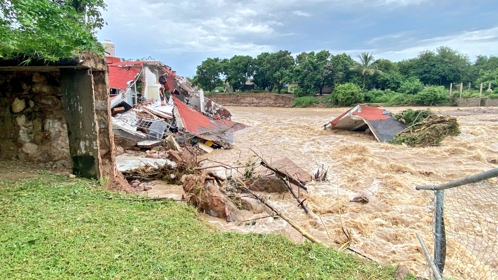 Defensoría Animal MX tweet media