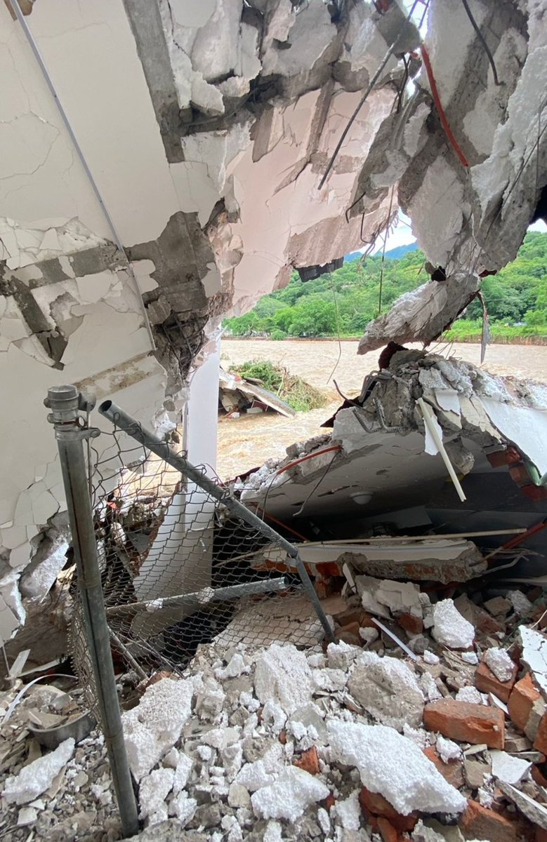 Defensoría Animal MX tweet media