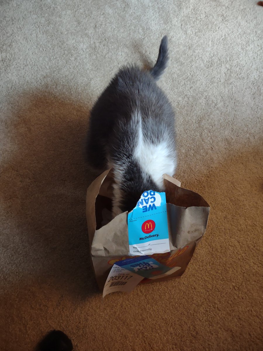 dixie_normous76's tweet photo. This fucking varmint looooooves @DoorDash #doublechecking #Clyde https://t.co/aSrqyDHO1v