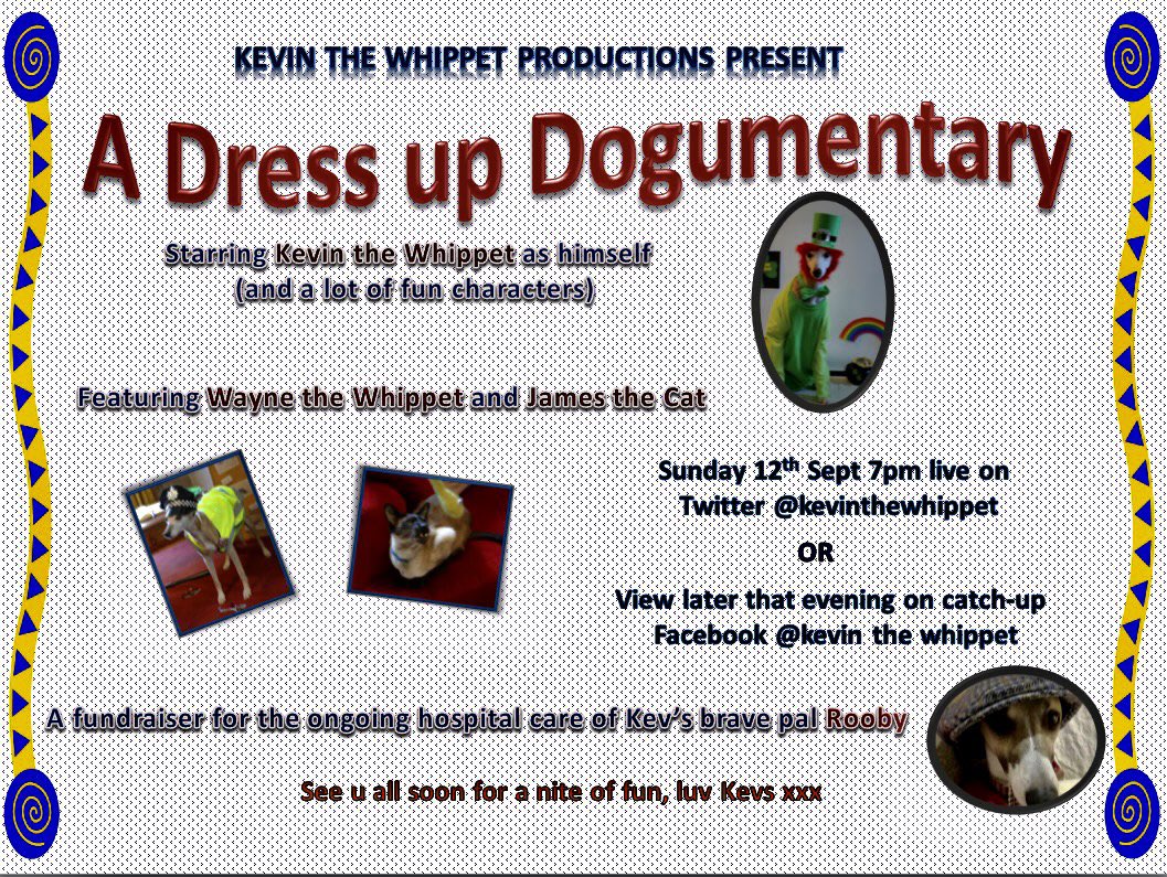 kevinthewhippet's tweet photo. Evenin evfuryone. Has u evfur wundered how Kev’s dwess ups wos done? Den u needs to tune in for our fundwaisin dwess up for Rooby on the 12th. Please RT, we wants all his pals to know bout it! https://t.co/CBtGmwrJvF